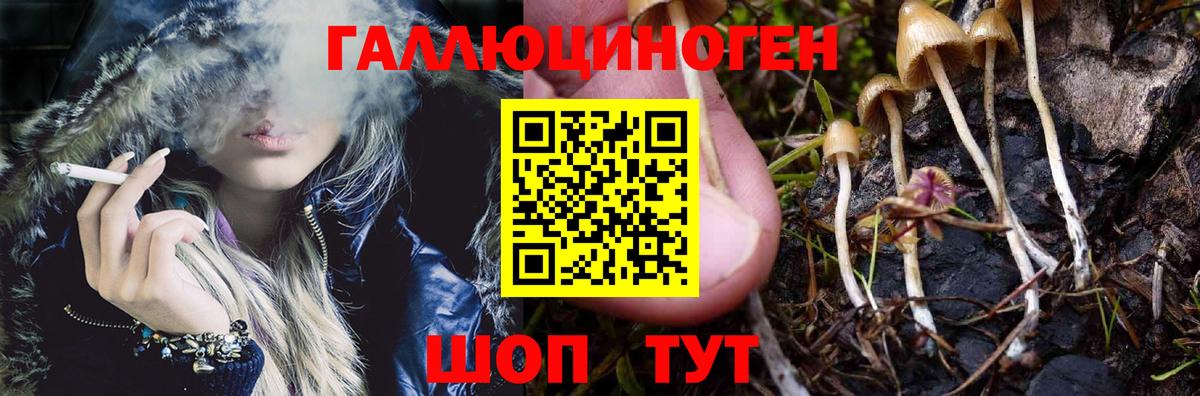 Галлюциногенные грибы Psilocybine cubensis  Вход с VPN  где продают наркотики  Псилоцибиновые грибы мицелий  Узловая 
