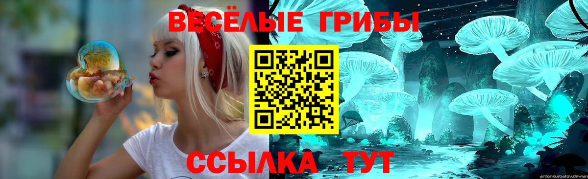 Галлюциногенные грибы мухоморы Узловая